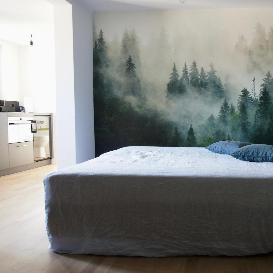 Ni Fravi Holiday Apartments, Interlaken West المظهر الخارجي الصورة